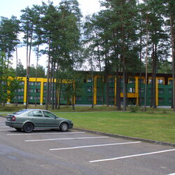 Va taip ir ne kitaip